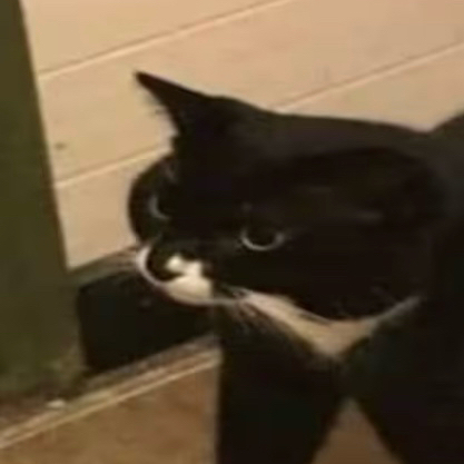 smudge the great