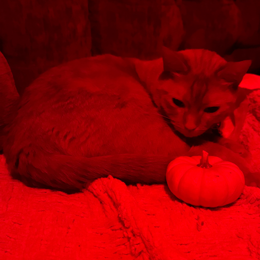 KQJ
