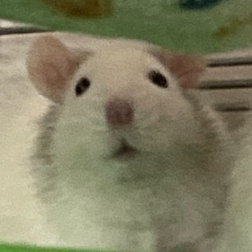 rattoprinter