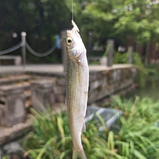 farvilla
