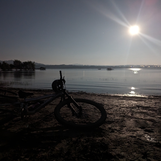 bikeshopboi