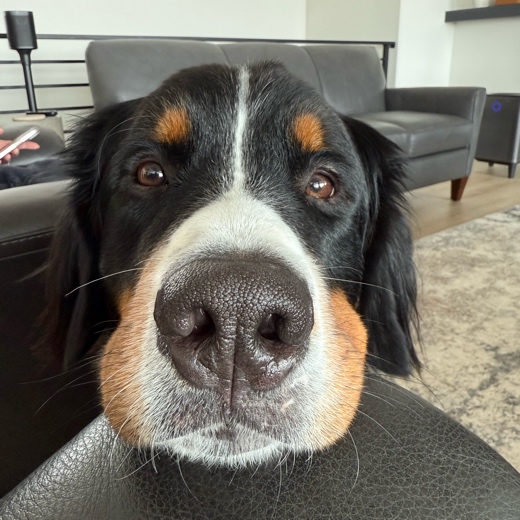 Gus