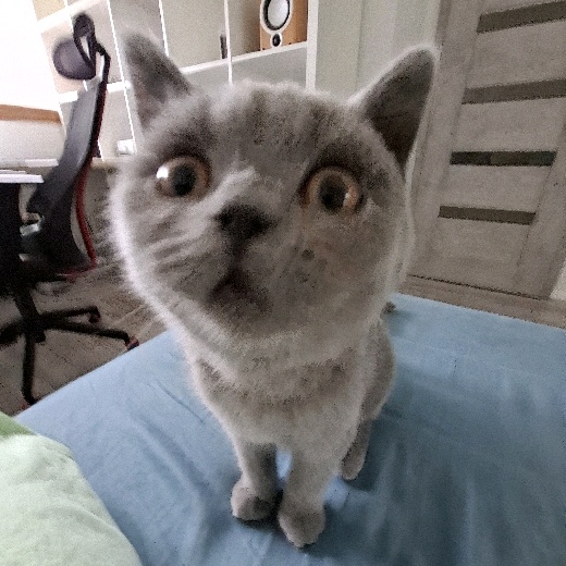 0t8t2