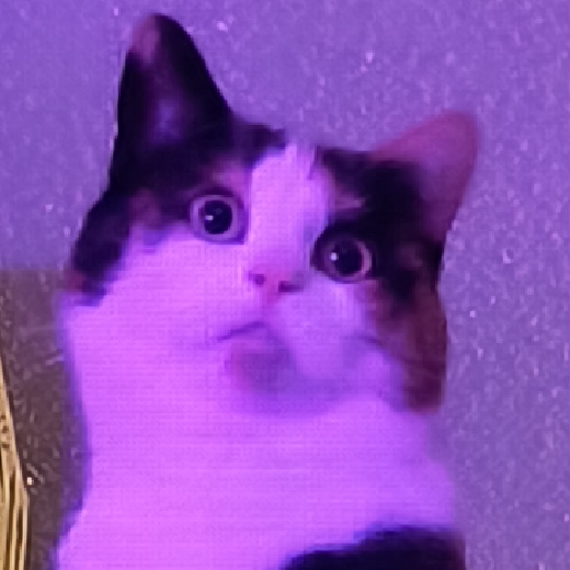 MaVi