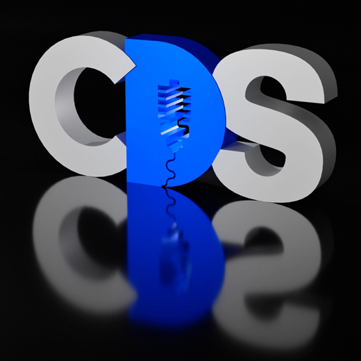 CDS3D