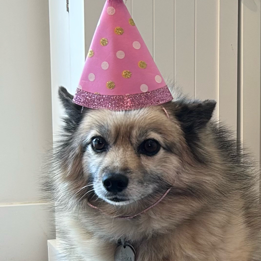 fizzyboi123