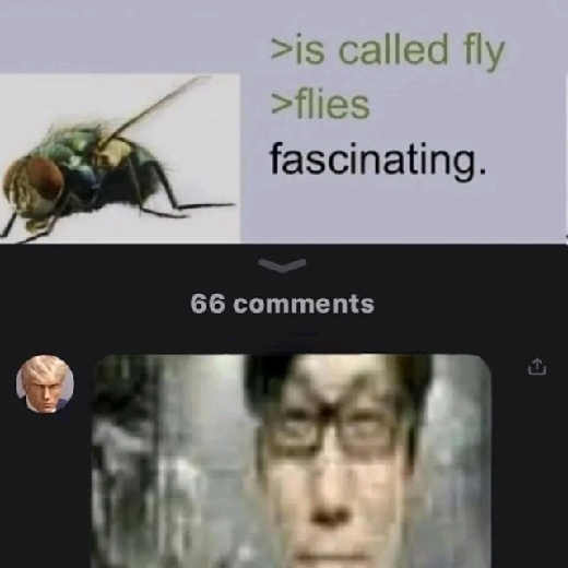 CraftyDuck100