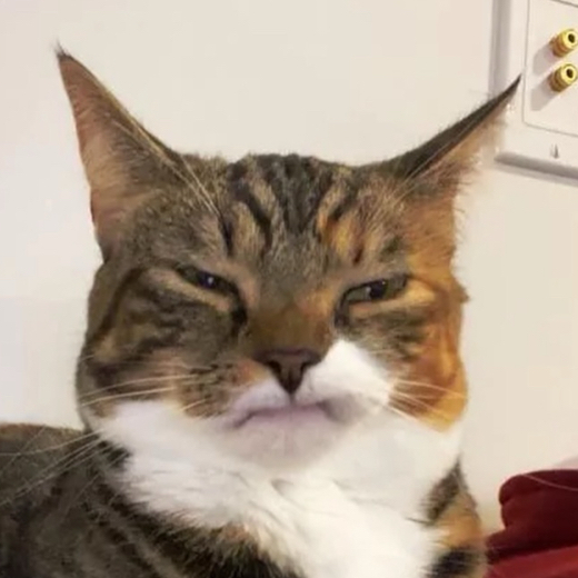 blucheese