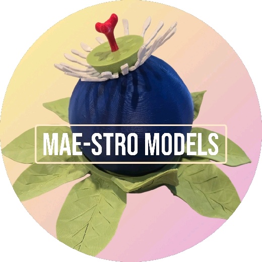 Mae-stro Models