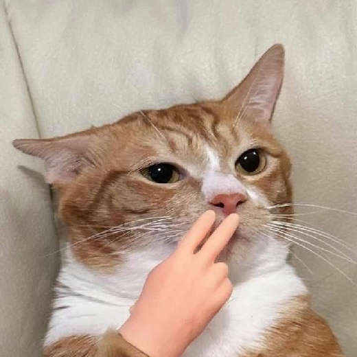 YZY