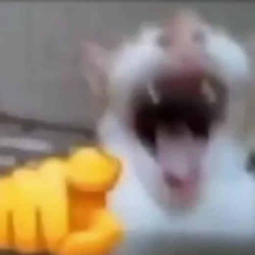 Fulltime_autist