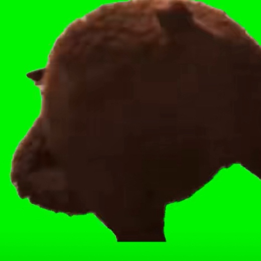 Bob The Bear