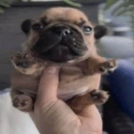:P
