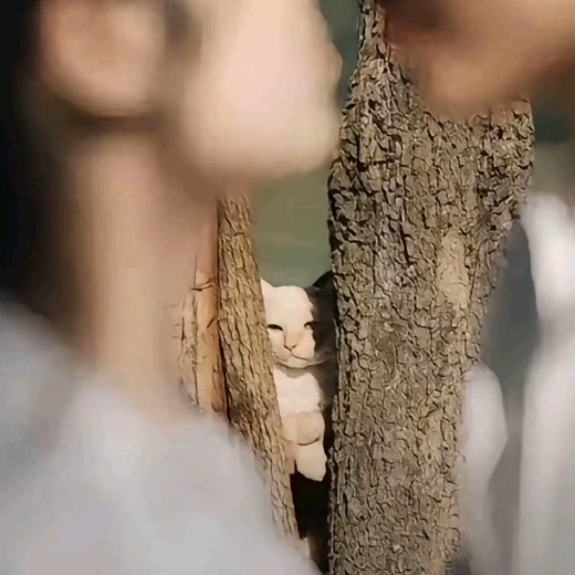 臭榴莲