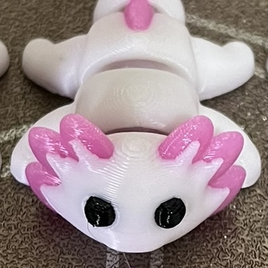 OctoGrafic