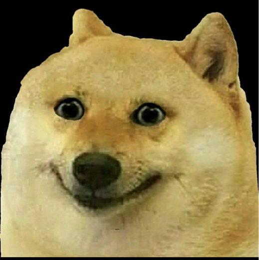N0Rand0mNam3