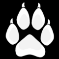 Grey the Wolf creator profile
