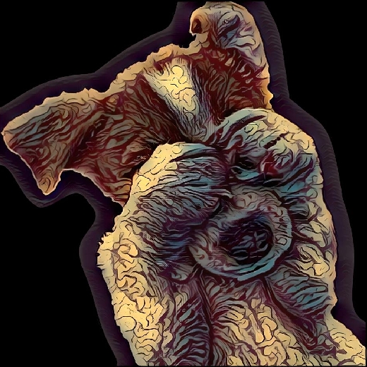 chokorink