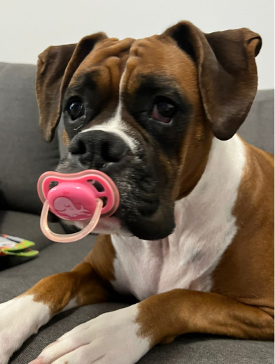 Boca