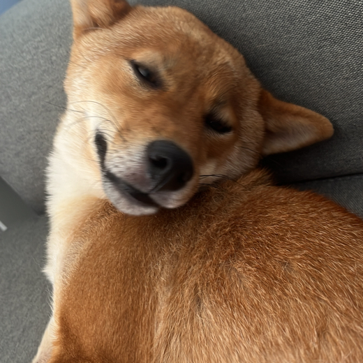 danykz