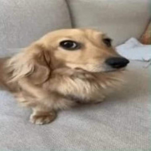Marco
