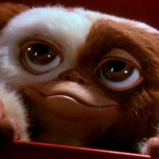 Gizmo256