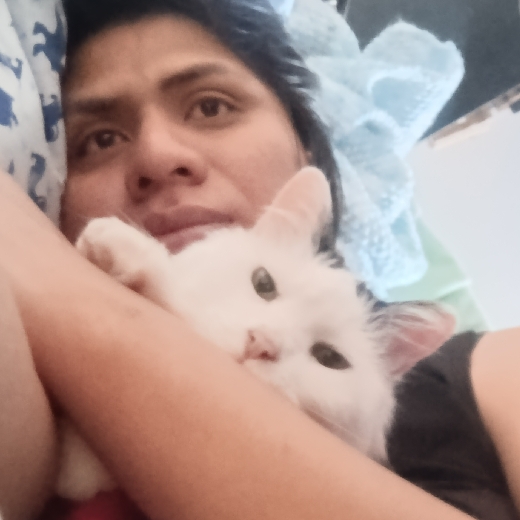 Viri