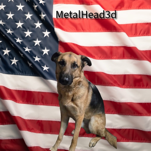 MetalHead3d