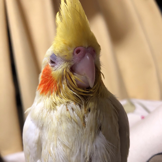 profile