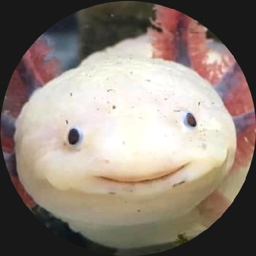 salsi