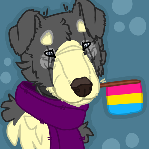 BraindeadCollie