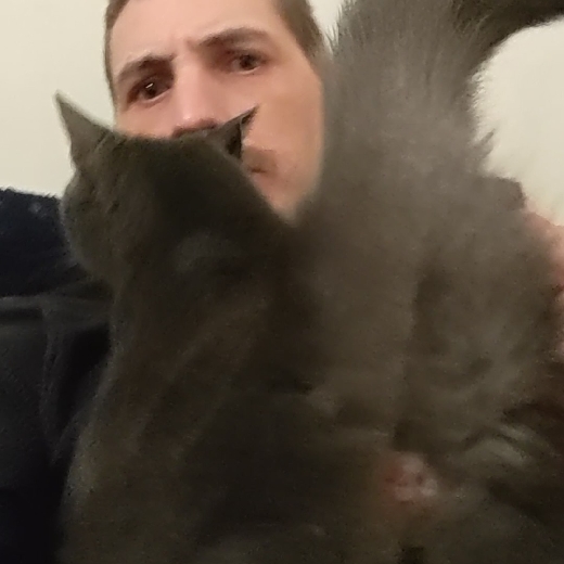 Allergic Prawn