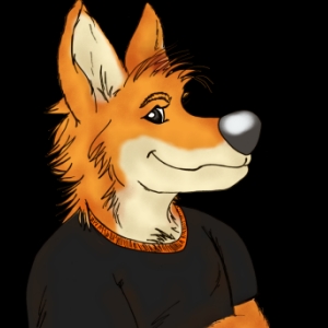 Dingo76