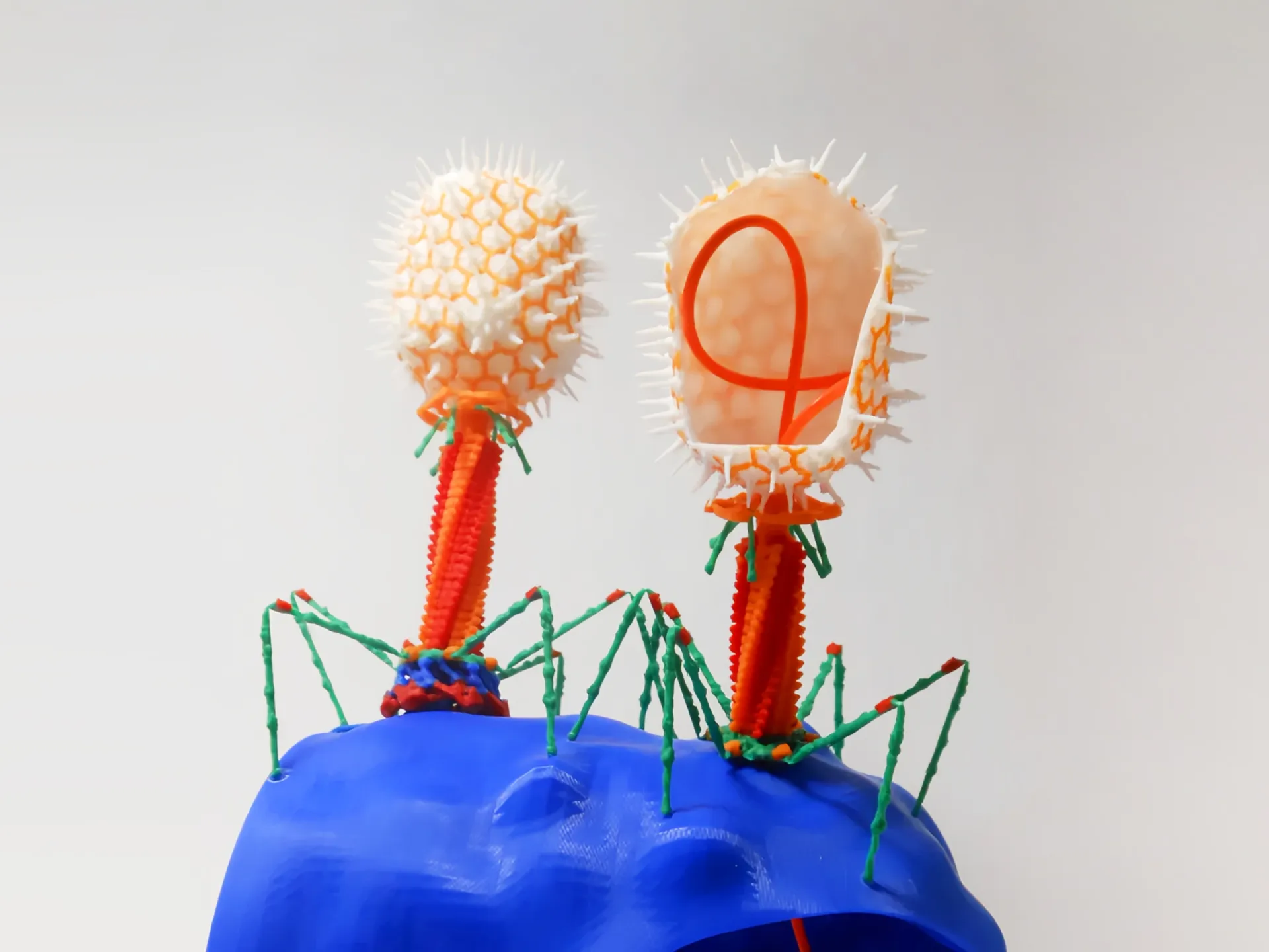 MakerWorld Download Free 3D Printing Models MakerWorld Download Free 3D Printing Models