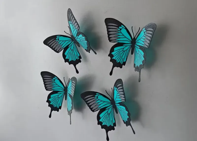collection-banner